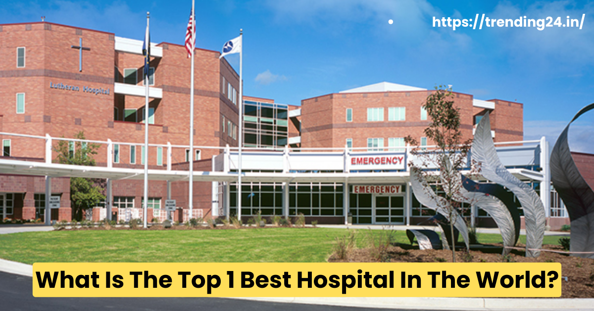 What Is The Top 1 Best Hospital In The World?